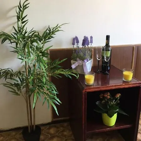 Relax House Guest house *